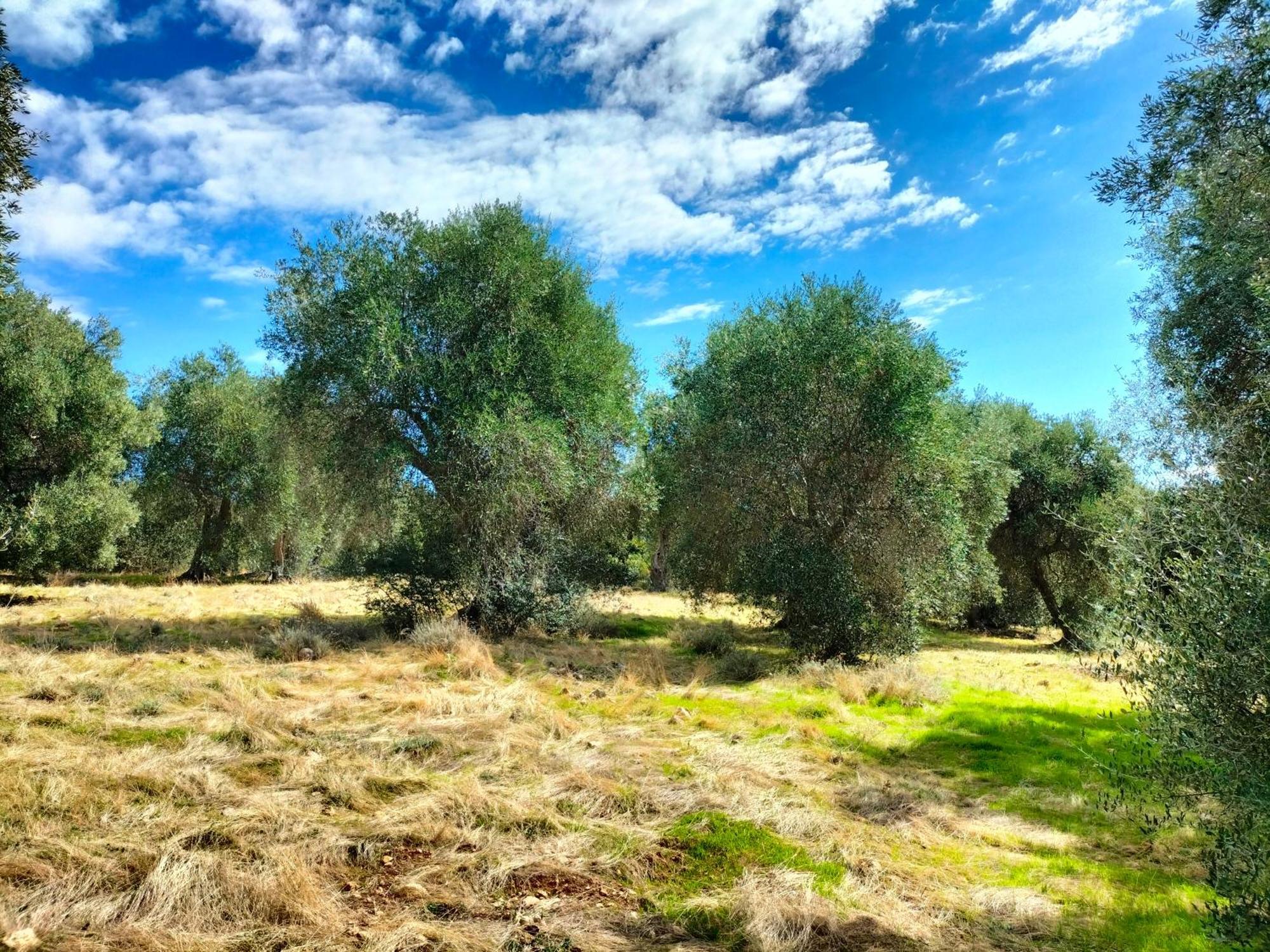 Agriturismo Lillastro Braccagni Dış mekan fotoğraf