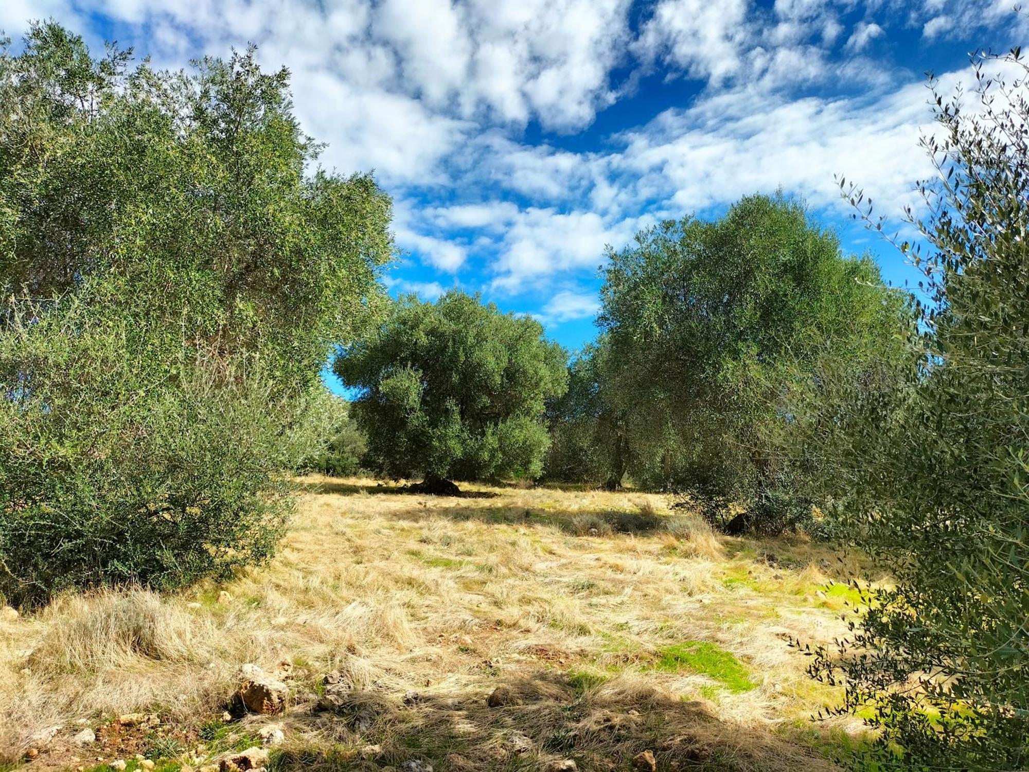 Agriturismo Lillastro Braccagni Dış mekan fotoğraf