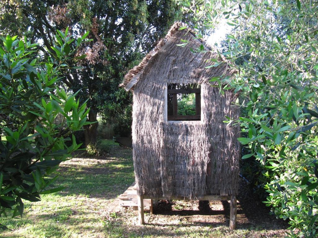 Agriturismo Lillastro Braccagni Dış mekan fotoğraf
