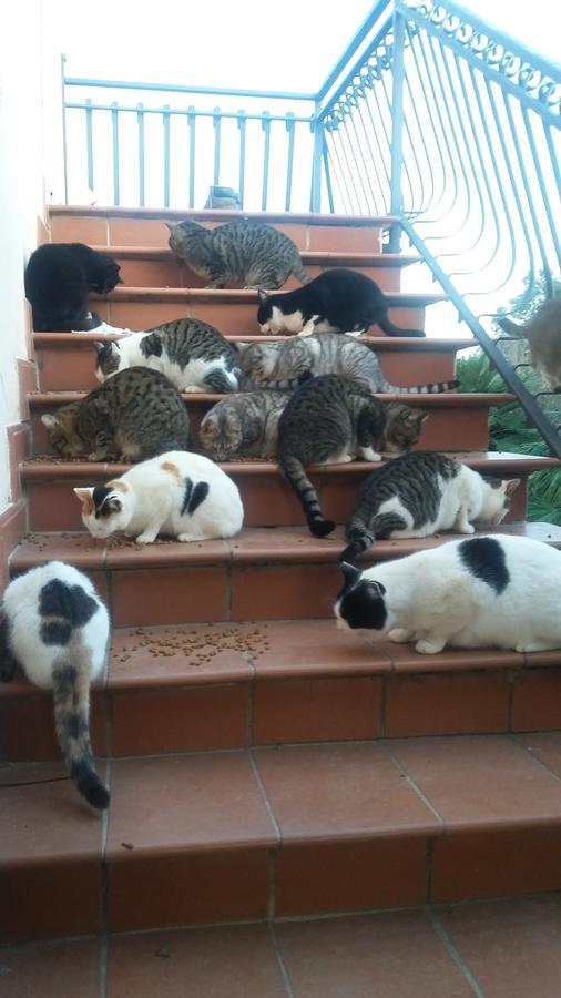 Agriturismo Lillastro Braccagni Dış mekan fotoğraf