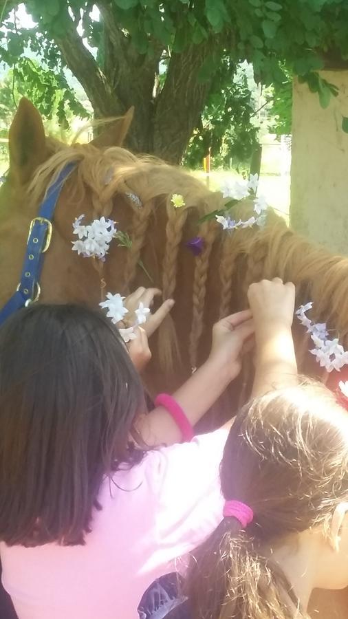 Agriturismo Lillastro Braccagni Dış mekan fotoğraf